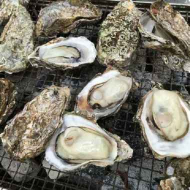 Kerang Tiram Seafood Kerang Oyster Segar 1kg