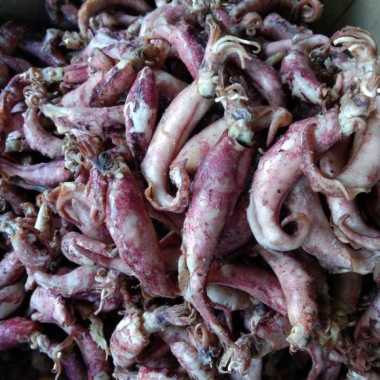 Cumi Asin Kering 250 Gram