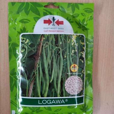 FreeOngkir 225 Butir Benih Bibit Buncis Perdu LOGAWA