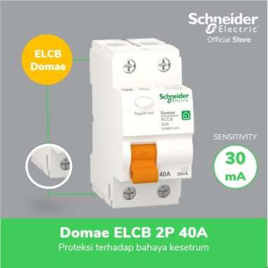 Schneider Electric Domae RCCB / ELCB - 2P 30mA 40 A - DOMR01240