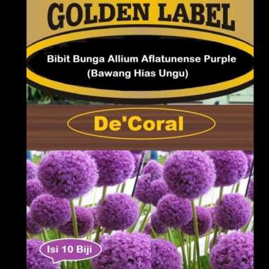 Bibit Bunga Allium Aflatunense Purple | Benih Bawang Hias Ungu