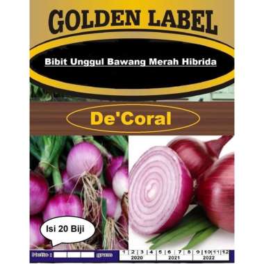 Bibit Unggul Bawang Merah Hibrida | Benih Bawang Merah Hibrida