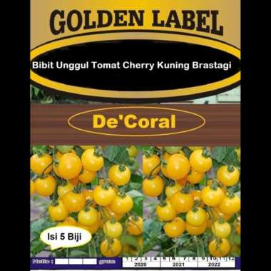 Bibit Unggul Tomat Cherry Kuning Brastagi |Benih Tomat Cherry Kuning
