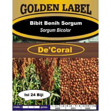 Biji Benih Sorgum | Sorgum Bicolor | Bibit Sorgum