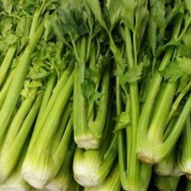 supernova mart Seledri Stik - Celery Stick Lokal 1kg