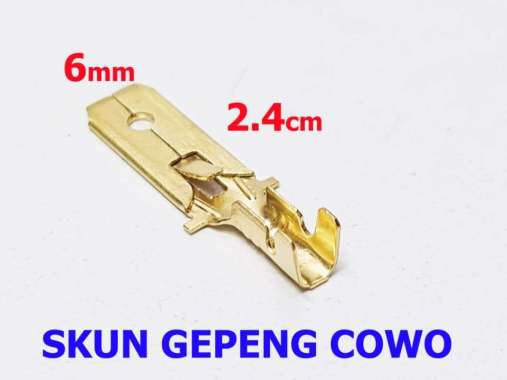 Skun Gepeng 6mm Cowo male Kecil / Soket / Skun Motor / Skun kabel gold