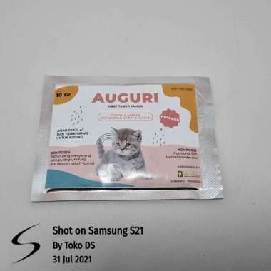 Kucing Hidung Terbaru November 2021 - Harga Murah u0026 Gratis Ongkir 
