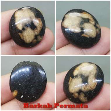 Fosil Batu Galih Kelor Coklat Hitam Asli