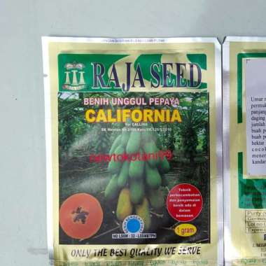 benih pepaya california 1 gr kates dari raja seed