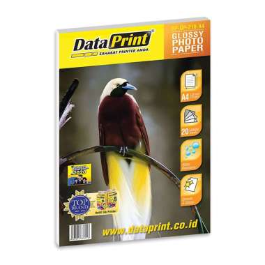 YP Paper Kertas Photo Data Print 210 GRAM