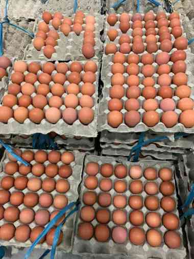 Jual Telur 1 Tray Harga Grosir Hari Ini Juni 2022 | Blibli