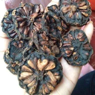 Mengkudu Kering 1kg Mengkudu Kering