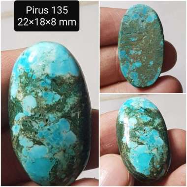 Jual Pirus Urat Emas Online Terbaru April 2022 - Blibli