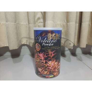 BIBIT POHON TANAMAN KOPI LANGKA ARABIKA YELLOW CATURRA ARABICA COFFEE