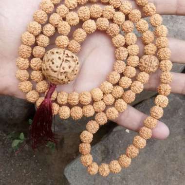 Tasbih Kesehatan Jenitri Kalung Genitri Rudraksha