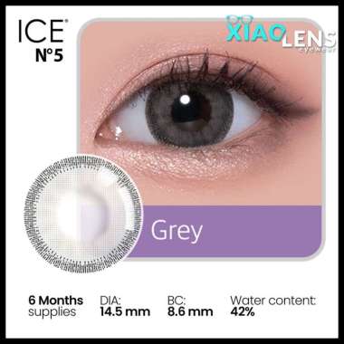 Softlens ICE N°5 Diameter 14.5 mm Ready NORMAL & MINUS Normal Grey