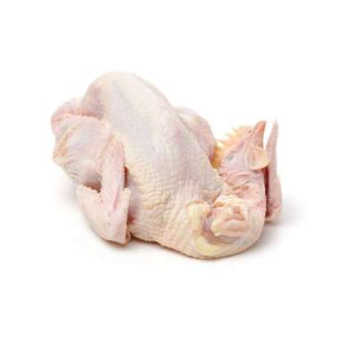 Ayam Broiler Utuh 1 Ekor