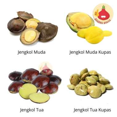 Jengkol Tua 250gr / Jengkol Muda / Jengkol Kupas / Sayur - Bawangbagus Jengkol Muda Kupas 250gr
