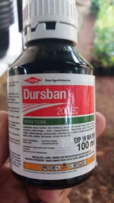 dursban 200ec