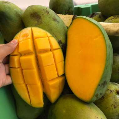 Mangga Harum Manis - 500gr Promo Buah Segar Mangga Harumanis / Arumanis