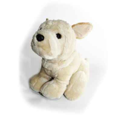 Jual Jual Anak Anjing Lucu Online Baru Harga Termurah Februari