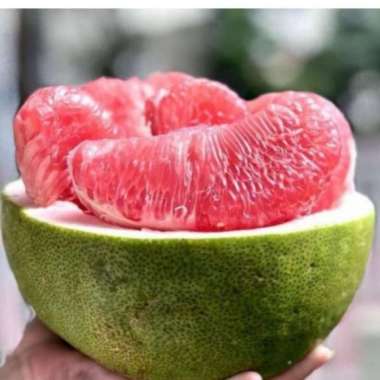 Jeruk Bali Pamelo 1 Kg