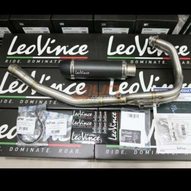 Leovince GP corsa evo long Fullsystem Original R25 / MT25 Multicolor