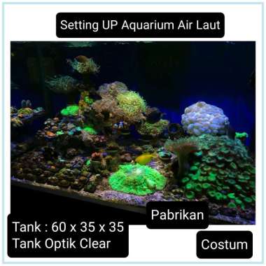 Tank Aquarium Air Laut | costum | Jasa Set Up 60x35x35