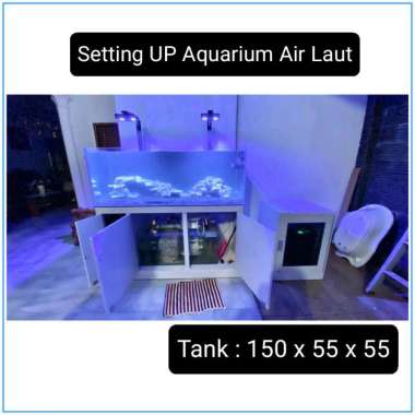Tank Aquarium Air Laut | costum | Jasa Set Up 150x55x55