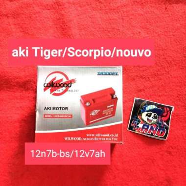 aki kering Scorpio/Tiger/nouvo