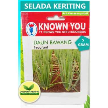 Benih / bibit daun bawang Fragrant