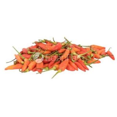 Cabe Rawit Merah 1/4KG / Cabe Rawit Hijau 1/4KG / Cabe Merah Keriting Rawit Merah