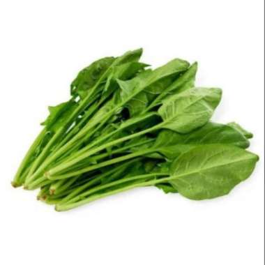 Sayur Poling Segar / Bayam Jepang / Horenzo / Horenso 1/2 KG - 500 Gr