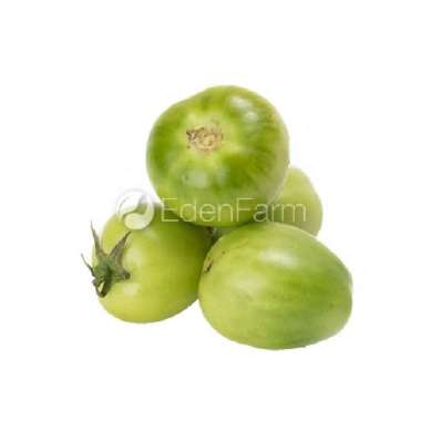 Sayur Tomat Hijau Segar 1KG