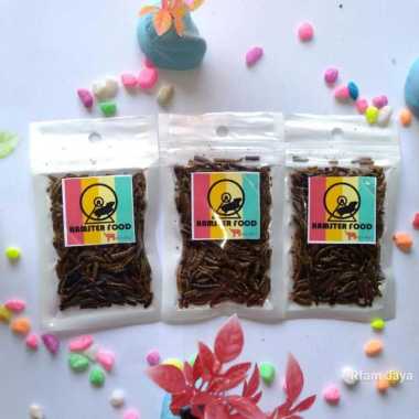 PAKAN HAMSTER ULAT HONGKONG KERING - MAKANAN HAMSTER DRIED MEALWORM