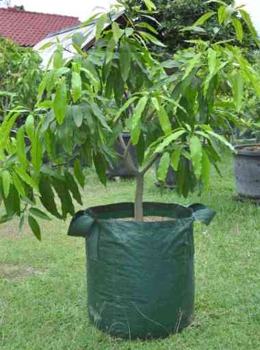 Planter Bag 75 Liter
