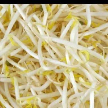 Tauge Bangkok 250 gr