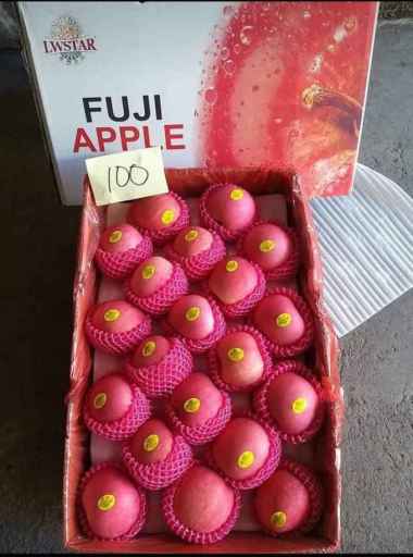 apel fuji fresh product import / apel fuji 1 dus / apel fuji 17 kg isi 100/dus