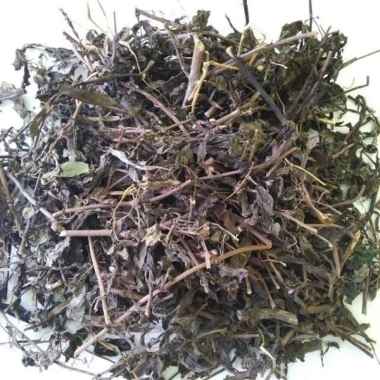 daun kumis kucing kering 100 gram