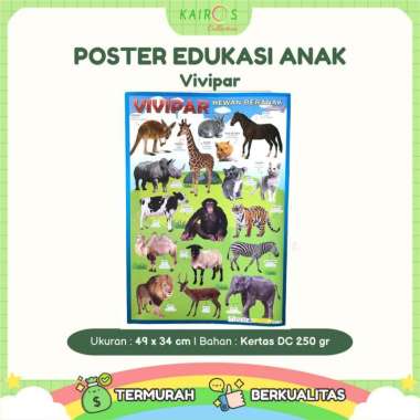 Poster Dinding Belajar Anak Vivipar Hewan Beranak