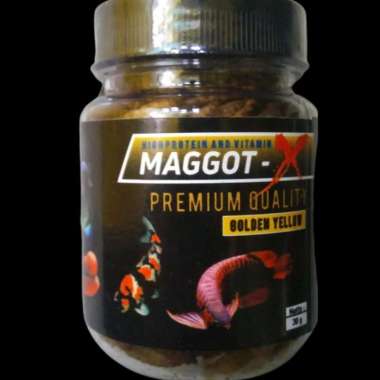 maggot kering/MAGGOT-X/pakan ikan predator/30 gram Kuning