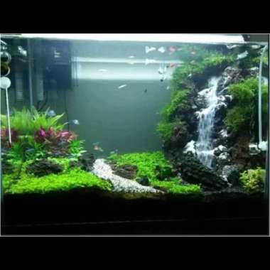 aquarium aquascape jadi full set lengkap air terjun Multivariasi Multicolor