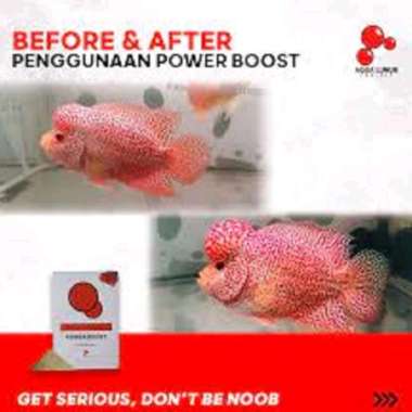 Power boost serbuk jenong louhan head booster kepala louhan