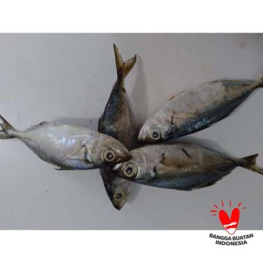 Furanka Sakana Ikan Tude Mata Belo
