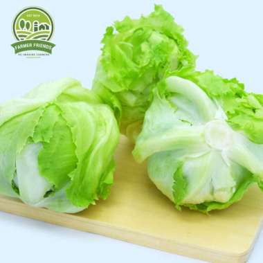 Sayur Farmer Friends - Lettuce [1 kg]