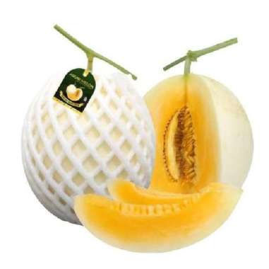 Buah Melon Aruni Premium