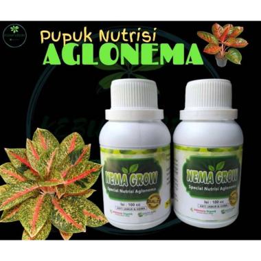 jual sika sikamur 130 lb semen mortar