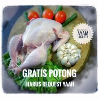 Ayam Frozen/Ayam Potong/UK 07-08/700gr potong 8