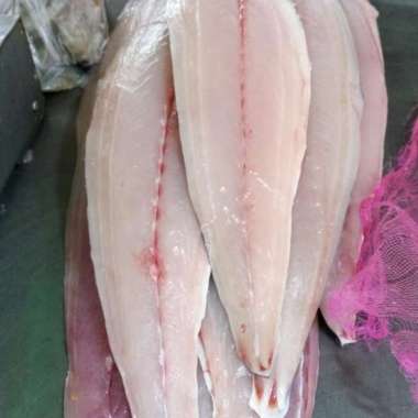 IKAN TENGGIRI FILLET 1KG