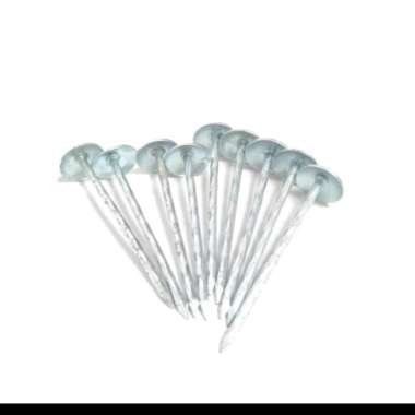 Paku Payung per kg kilogram 2 1/2 in